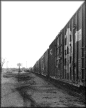 Train Thumbnail